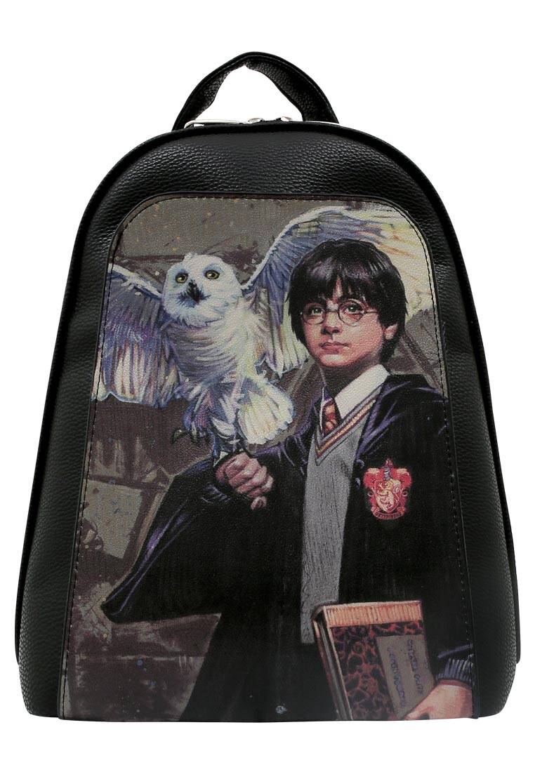 Warner Bros Harry And Hedwig Harry Potter Design